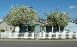 My home in Lemoore, CA